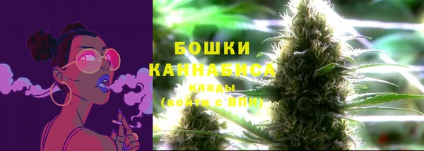 мдпв Сафоново