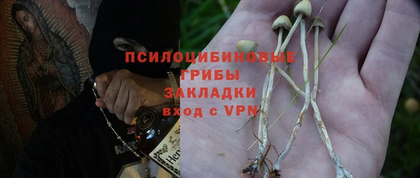сатива Саяногорск