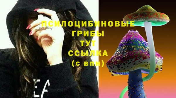 мдпв Сафоново