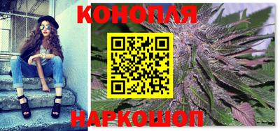 тгк Канаш