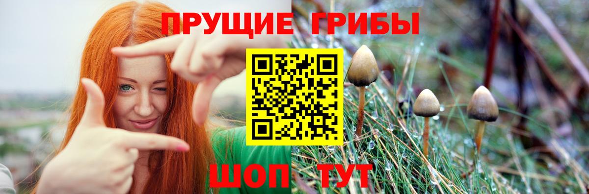 Псилоцибиновые грибы GOLDEN TEACHER  Вход с VPN  наркота  Соль-Илецк  Псилоцибиновые грибы прущие грибы 